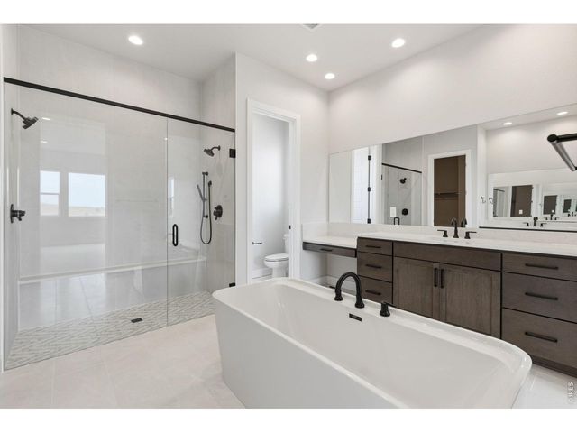 1613 Flourish Ct, Windsor, CO 80550