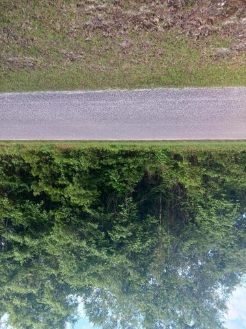 0 Fox Field Road, Walterboro, SC 29488