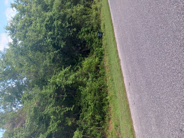 0 Fox Field Road, Walterboro, SC 29488