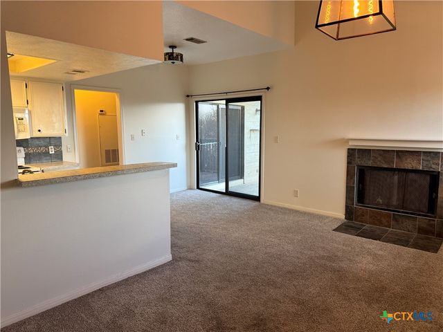 1013 Chestnut Street 6, San Marcos, TX 78666