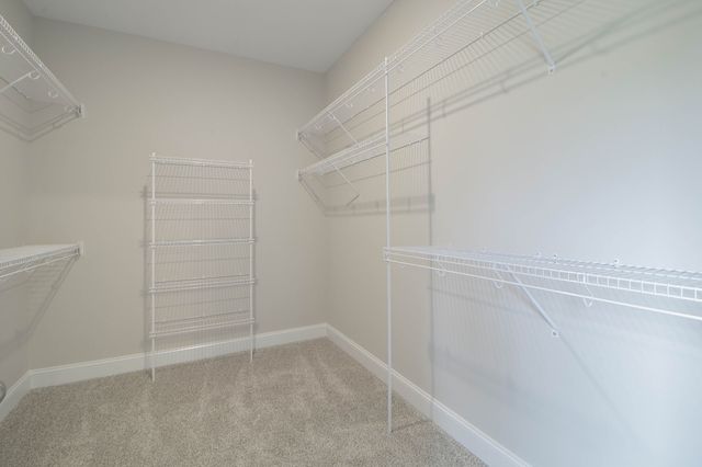 2074 Ireland Way, Clarksville, TN 37042