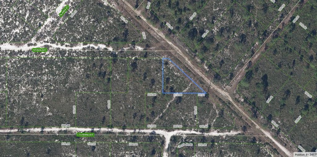 536 Nevada Avenue, Lake Placid, FL 33852