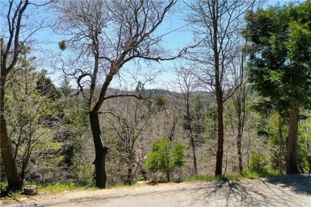 0 Old Toll, Lake Arrowhead, CA 92352