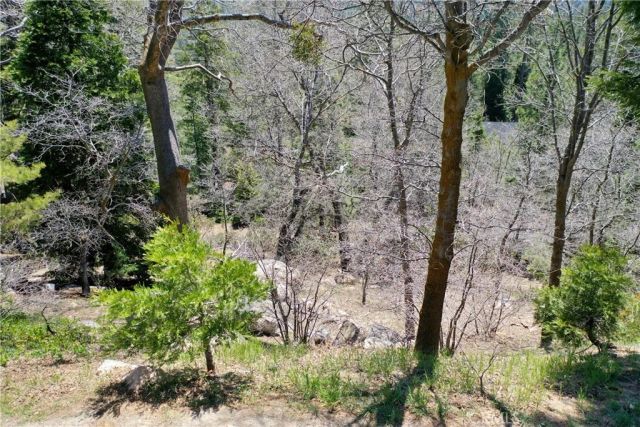 0 Old Toll, Lake Arrowhead, CA 92352