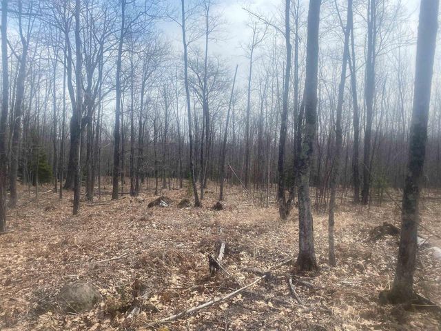 TBD E Old Hwy 13, Herbster, WI 54844