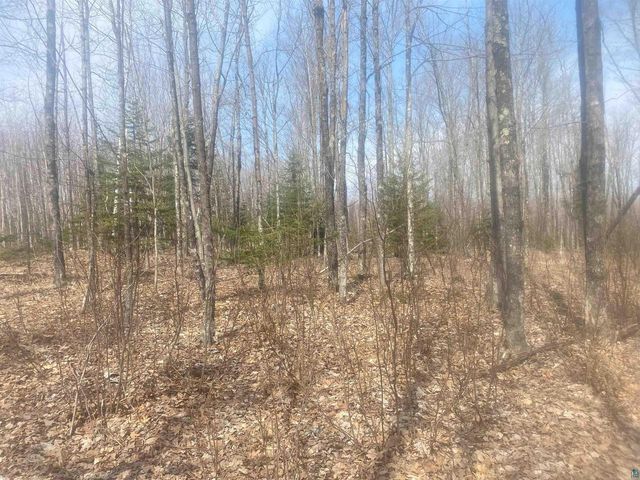 TBD E Old Hwy 13, Herbster, WI 54844