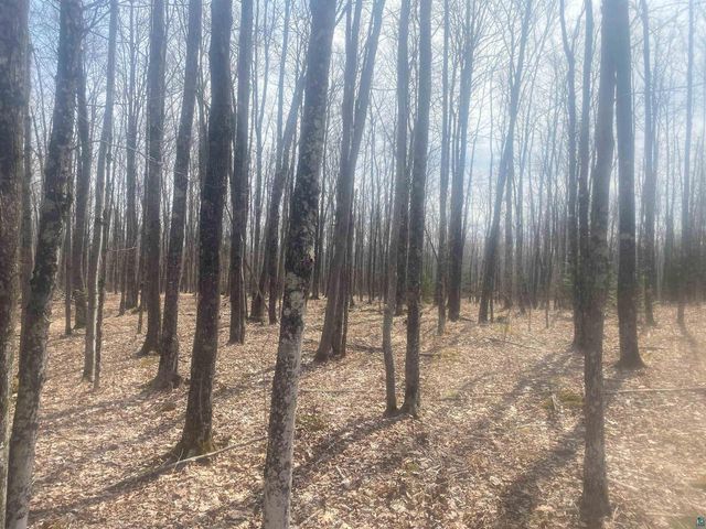TBD E Old Hwy 13, Herbster, WI 54844