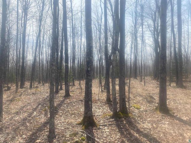 TBD E Old Hwy 13, Herbster, WI 54844