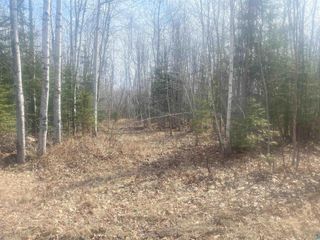 TBD E Old Hwy 13, Herbster, WI 54844