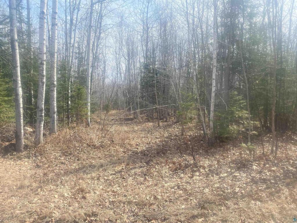 TBD E Old Hwy 13, Herbster, WI 54844