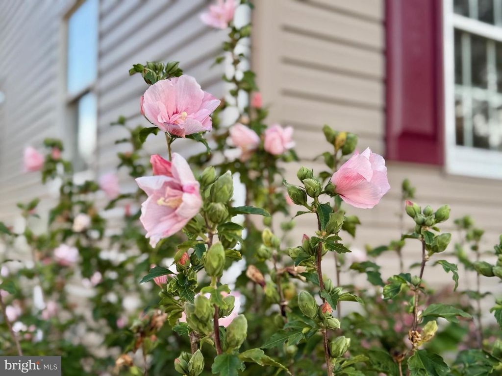 Image 44 of property listing at 16460 SAYRE POINT LN, Piney Point, MD 20674