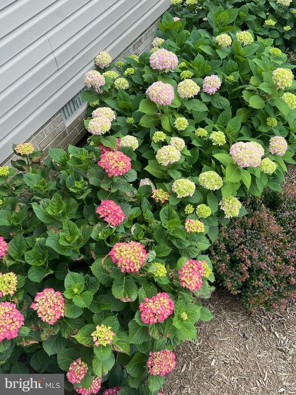 Image 46 of property listing at 16460 SAYRE POINT LN, Piney Point, MD 20674