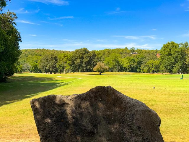 17 Kere Trace, Cherokee Village, AR 72529