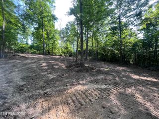 Little Sycamore Rd, Tazewell, TN 37879