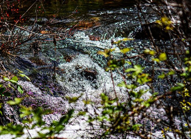 13069 Wells Fargo Drive, Groveland, CA 95321