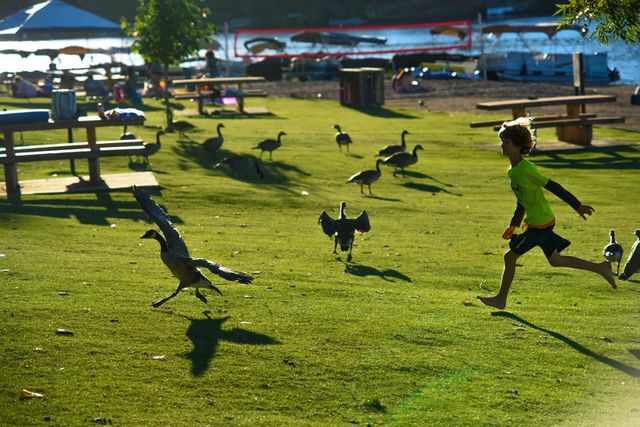 13069 Wells Fargo Drive, Groveland, CA 95321