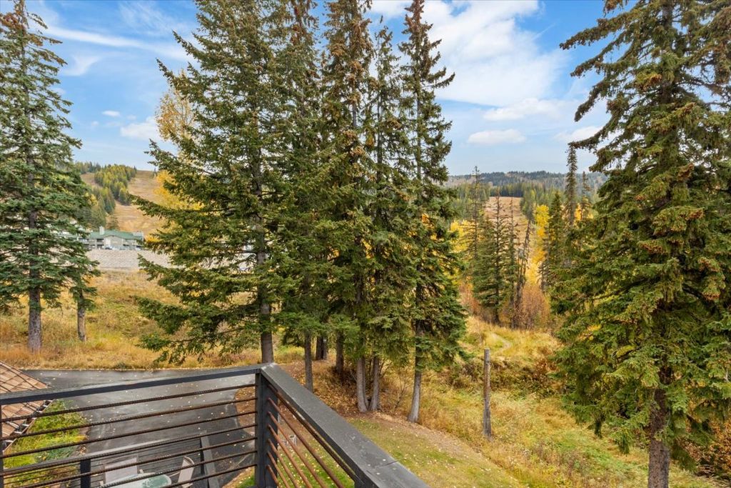 3835 Alpine Glow Avenue 1, 2, 3, 4, Whitefish, MT 59937 photo 119