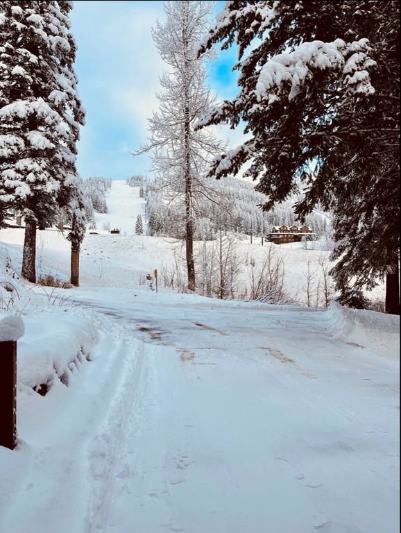 3835 Alpine Glow Avenue 1, 2, 3, 4, Whitefish, MT 59937 photo 95