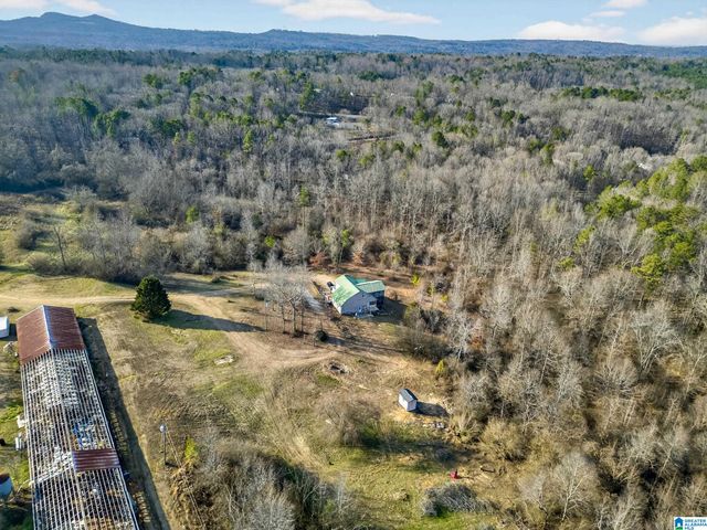 235 GRAHAM ROAD, Pell City, AL 35125