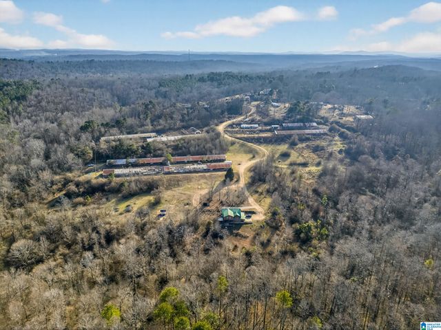 235 GRAHAM ROAD, Pell City, AL 35125