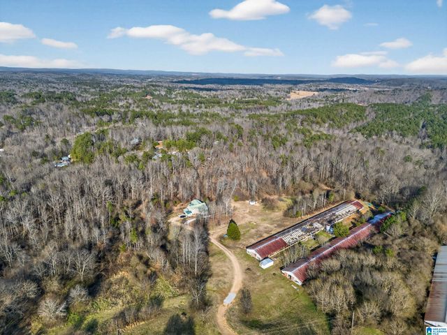 235 GRAHAM ROAD, Pell City, AL 35125
