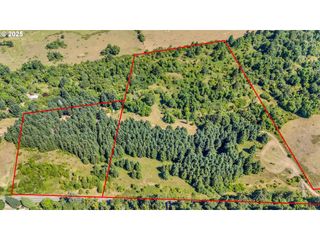 20317 HIGHWAY 36, Blachly, OR 97412