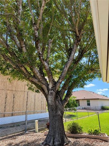 7454 Floyd Drive, Mission, TX 78572