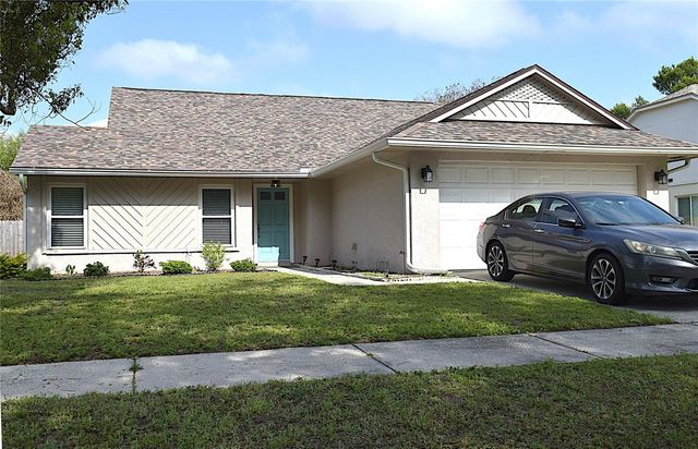 2009 BRANCH TREE LANE, Brandon, FL 33511