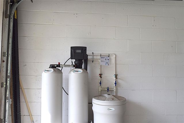 2009 BRANCH TREE LANE, Brandon, FL 33511