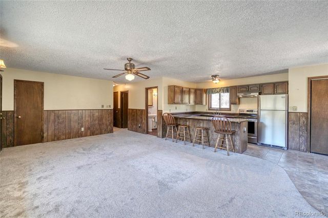 148 Cougar Road, Leadville, CO 80461