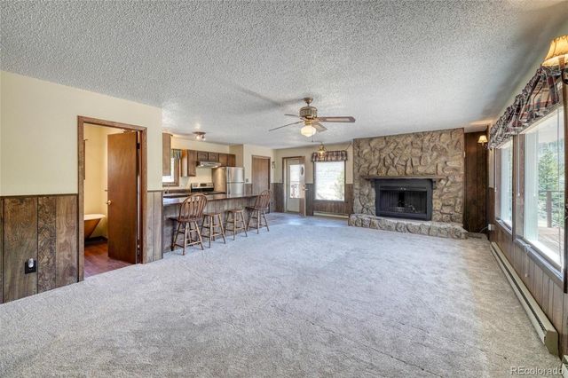 148 Cougar Road, Leadville, CO 80461