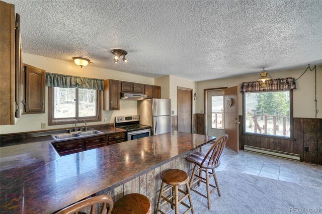 148 Cougar Road, Leadville, CO 80461