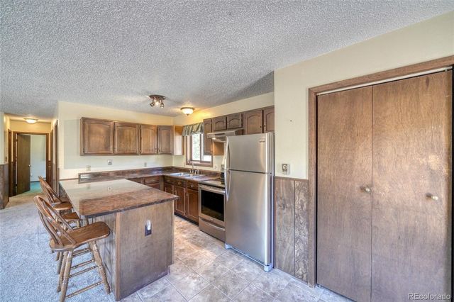 148 Cougar Road, Leadville, CO 80461