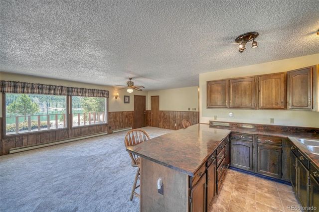 148 Cougar Road, Leadville, CO 80461