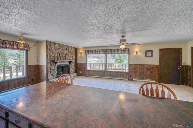 148 Cougar Road, Leadville, CO 80461