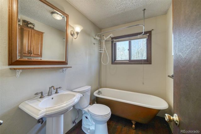 148 Cougar Road, Leadville, CO 80461