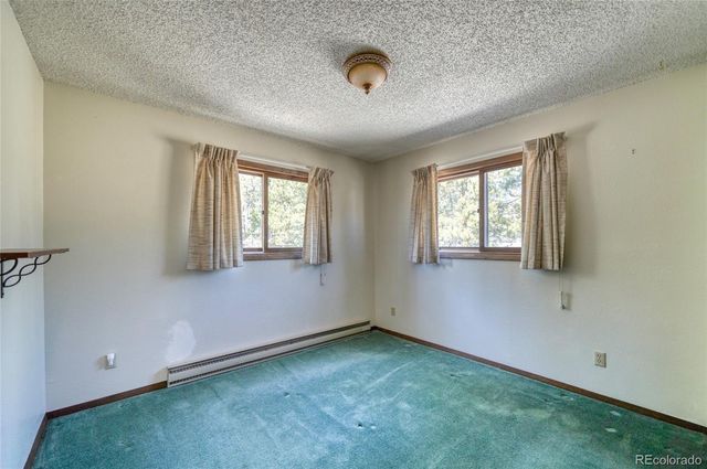 148 Cougar Road, Leadville, CO 80461