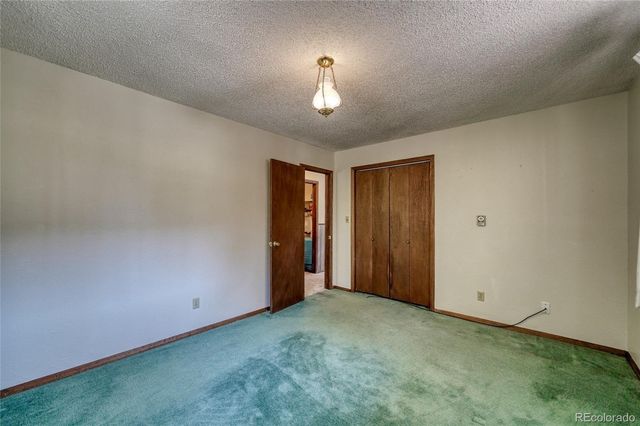 148 Cougar Road, Leadville, CO 80461