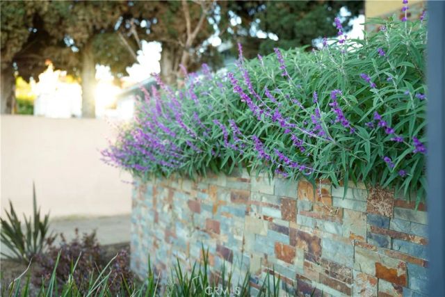 26007 Marjan, Harbor City, CA 90710