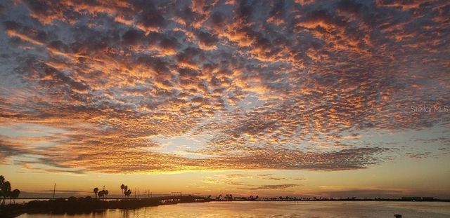 212 BUNKER HILL LANE 212, Dunedin, FL 34698