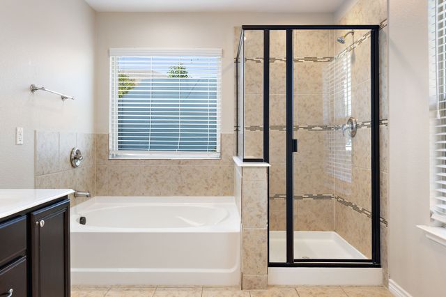 704 Snowy Orchid Lane, Desoto, TX 75115