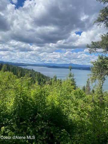 5727 S Odelin Ln, Harrison, ID 83833