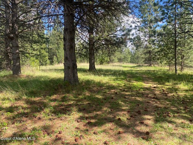 5727 S Odelin Ln, Harrison, ID 83833