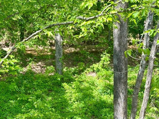 249 Pleasant Holly Drive, Benton, AR 72015