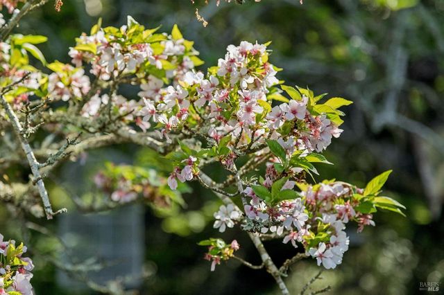 1195 Congress Valley Rd, Napa, CA 94558