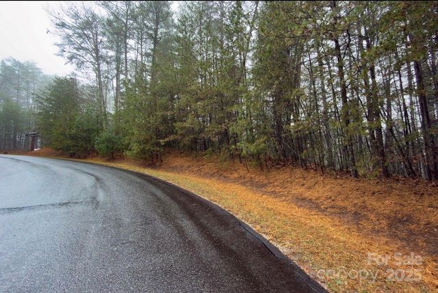 49 Lake James Road, Marion, NC 28752