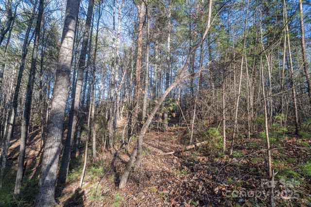 49 Lake James Road, Marion, NC 28752