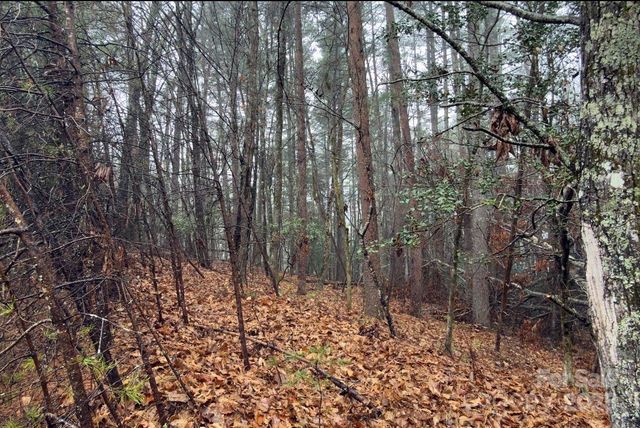 49 Lake James Road, Marion, NC 28752