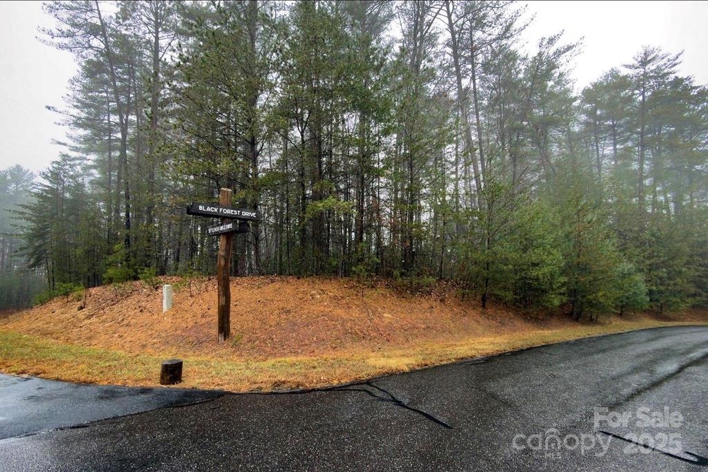 49 Lake James Road, Marion, NC 28752