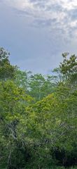 MALAUKA LOOP, Ocklawaha, FL 32179